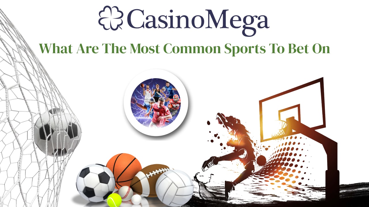 Popular Sports for Betting