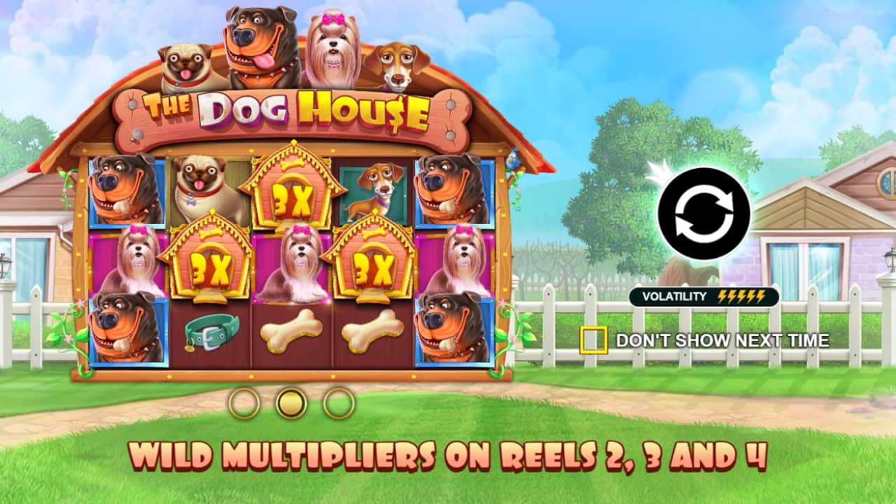 Introduction to Dog House